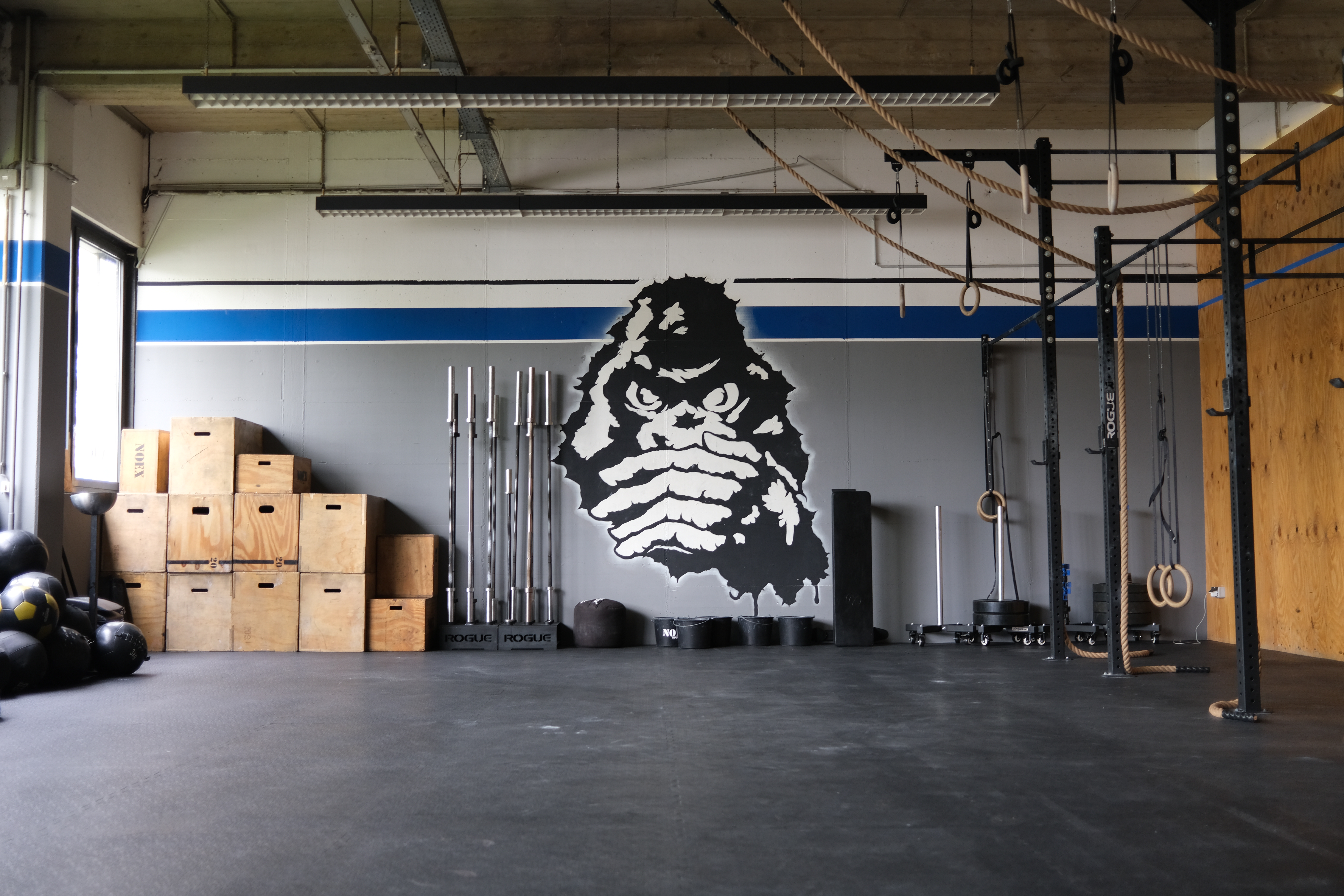 Training bei NOEX Berlin