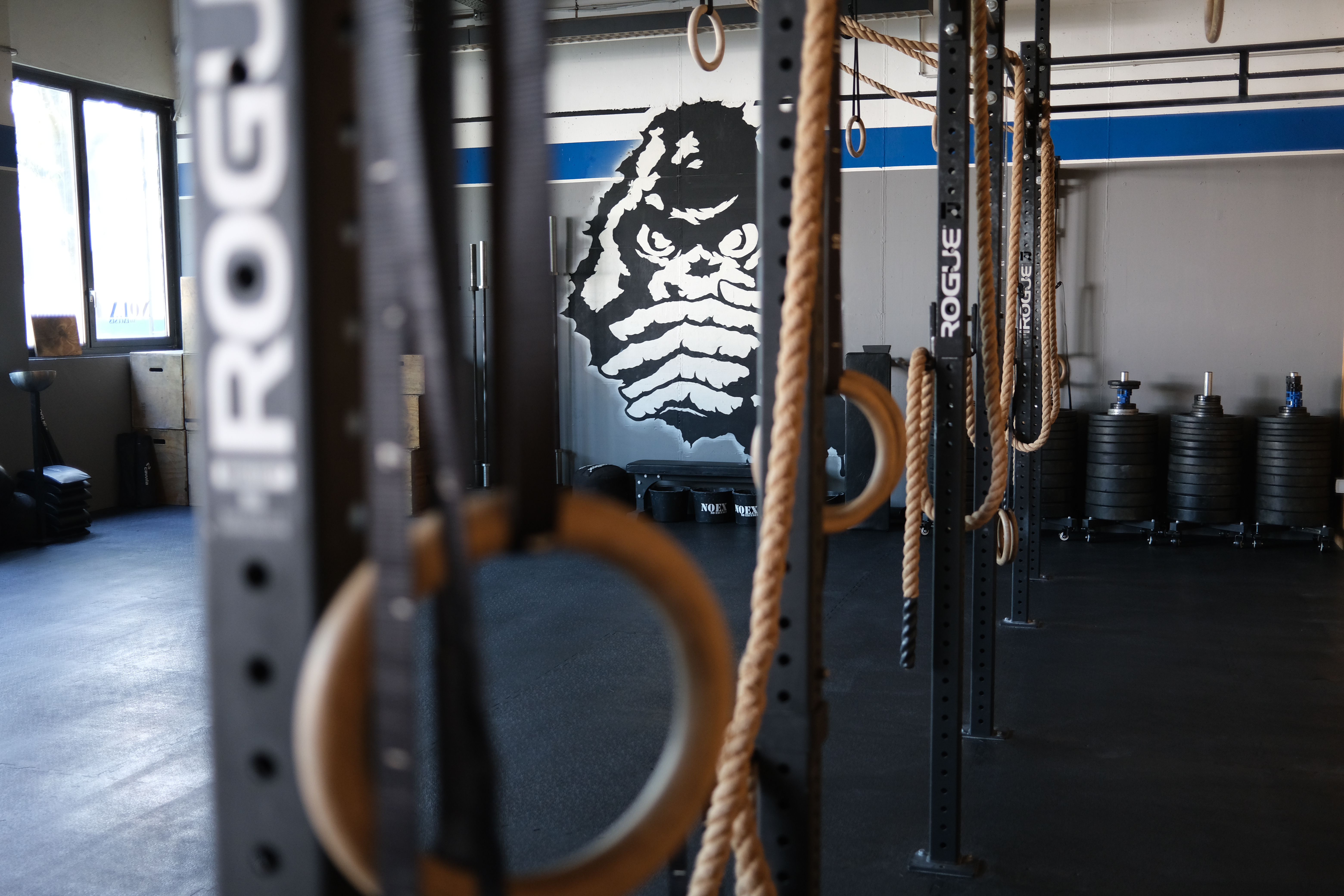 Training bei NOEX Berlin